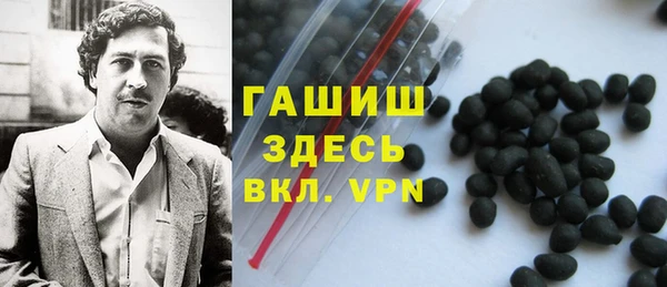 крисы Надым