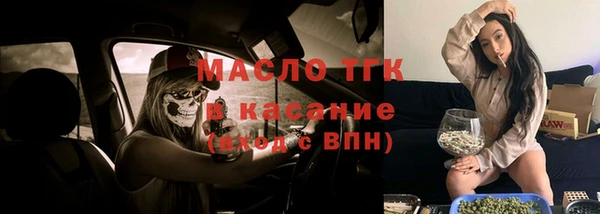 крисы Надым