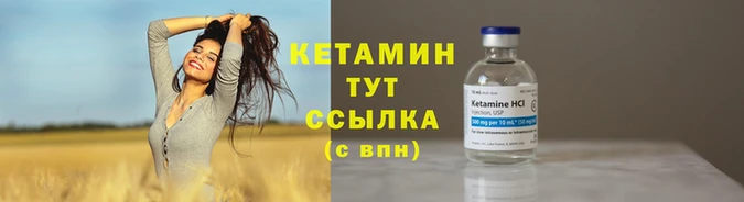 крисы Надым