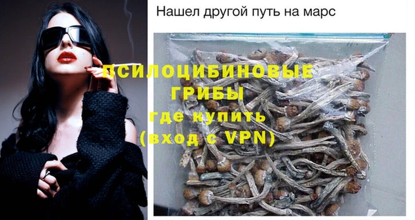 крисы Надым