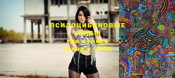 хмурый Аксай