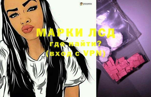 крисы Алагир