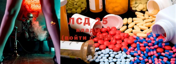 крисы Надым