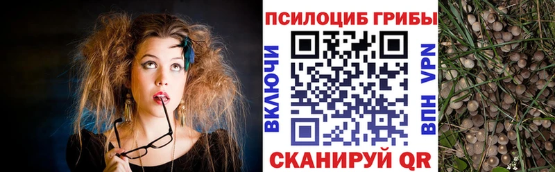 Псилоцибиновые грибы мухоморы Щучье